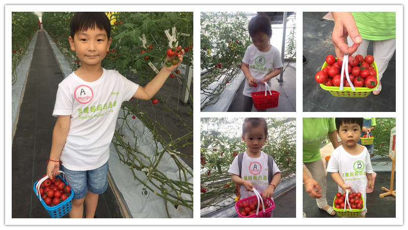 BBunion国际早教7月上旬活动回顾 BBunion国际早教7月上旬活动回顾